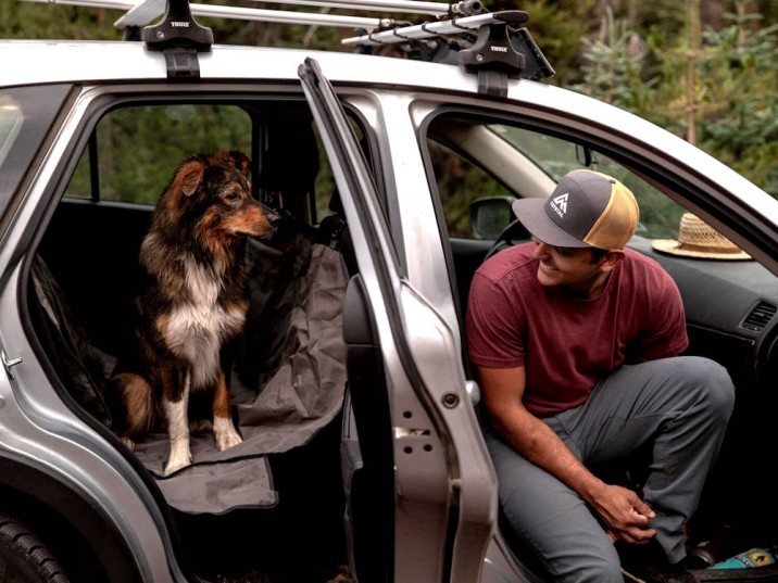 Autofahren mit Hund