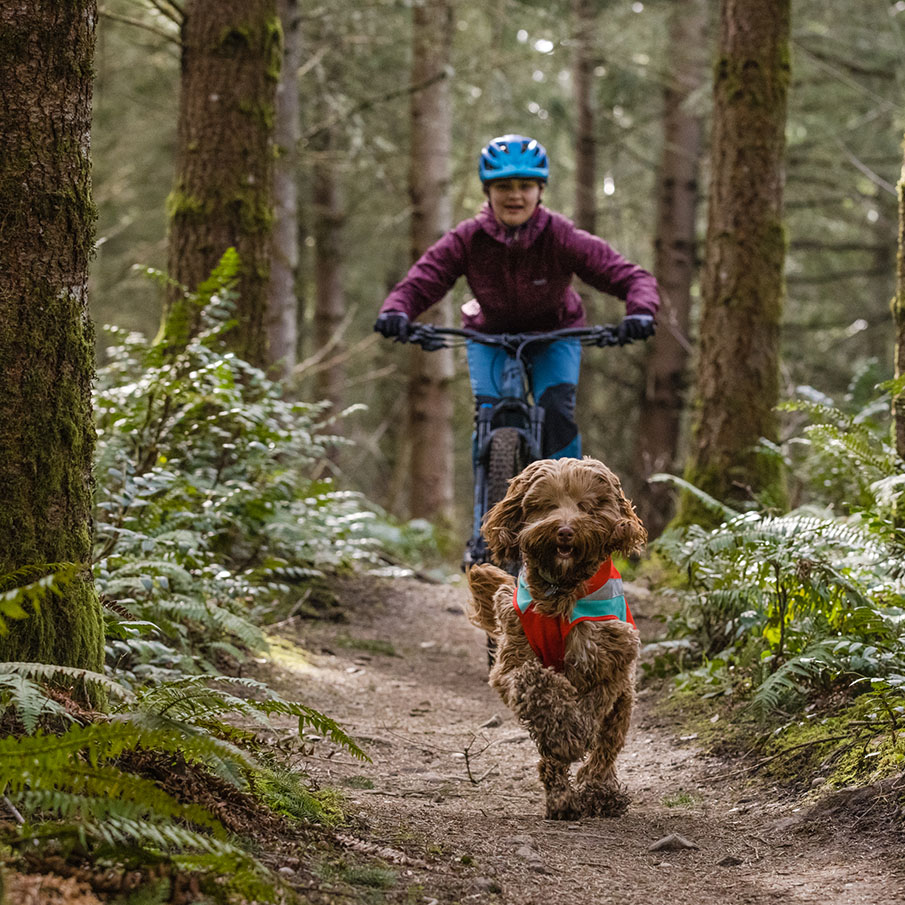 Ruffwear Fahrrad