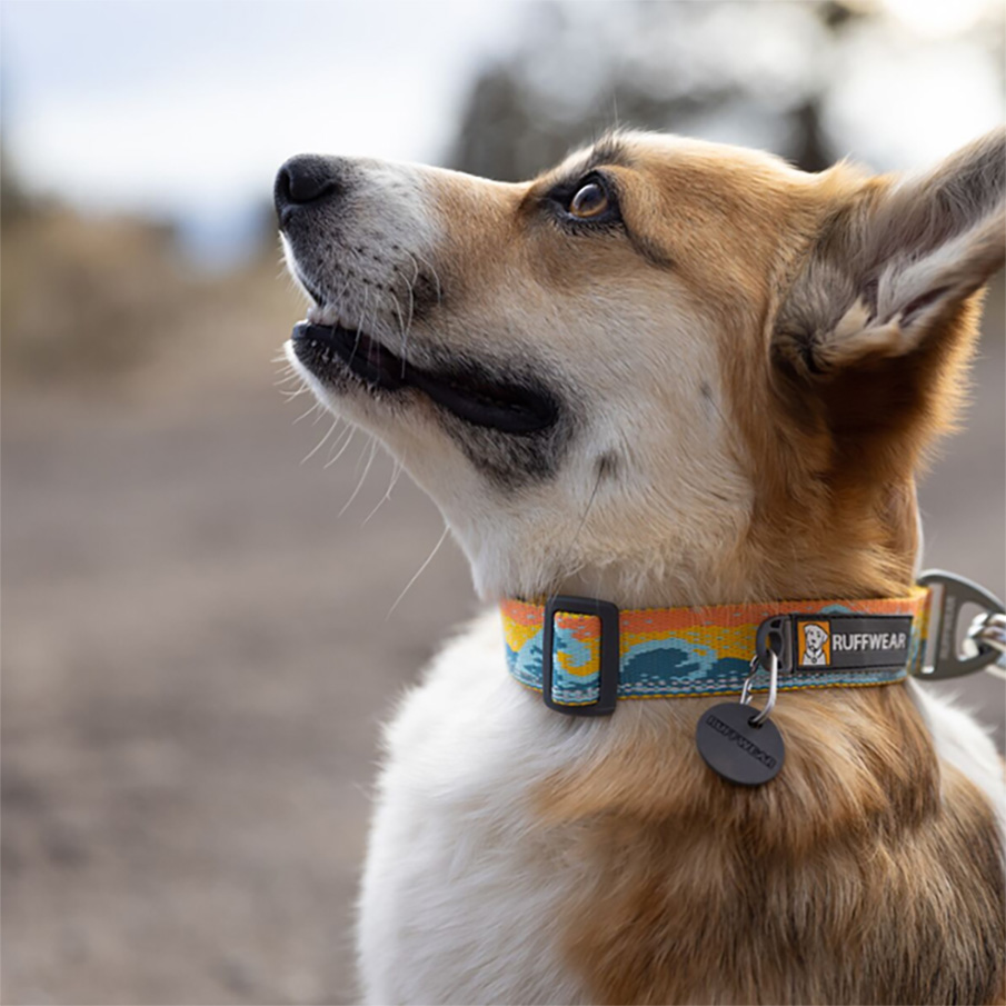 Ruffwear Halsband