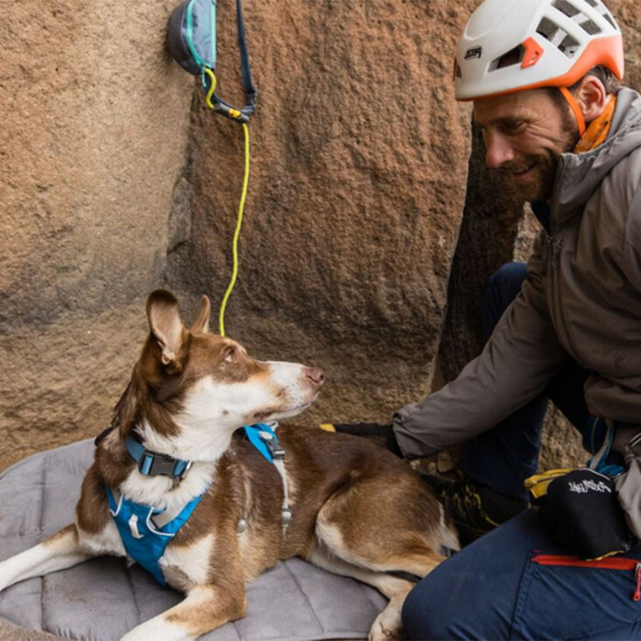 Ruffwear Klettern