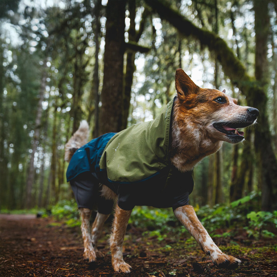 Ruffwear Hundebkleidung