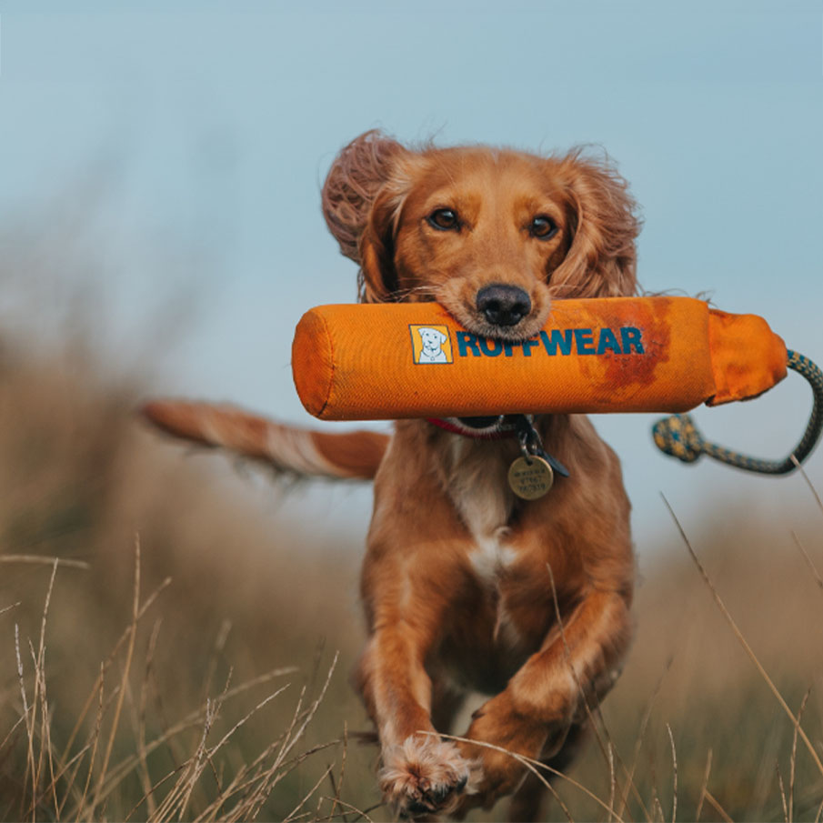 Ruffwear Spielen