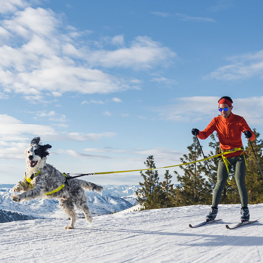 Ruffwear Wintersport