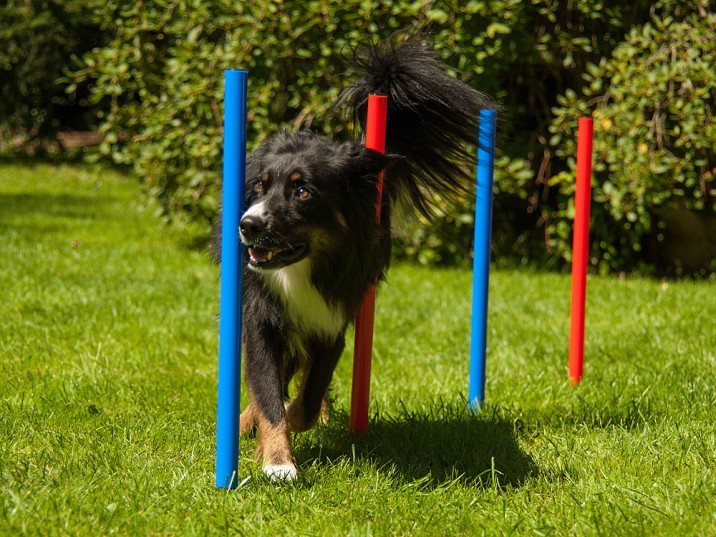 Agility