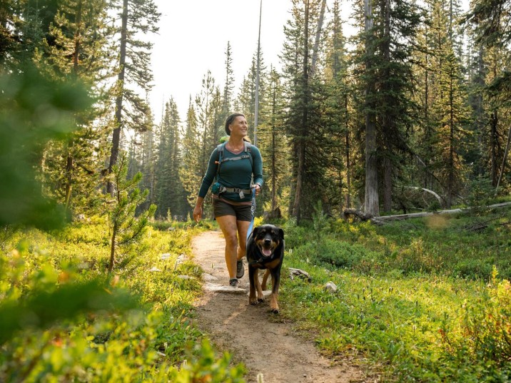 So gelingt das Wandern mit Hund