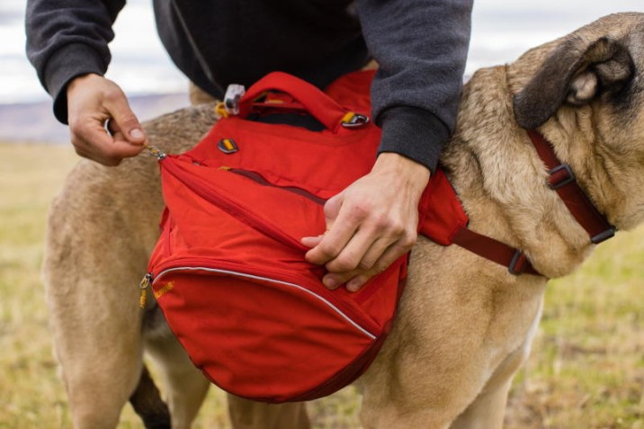 Wandern mit dem Hund Teil 2