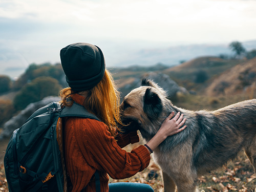 Hundeshop Bewertungen