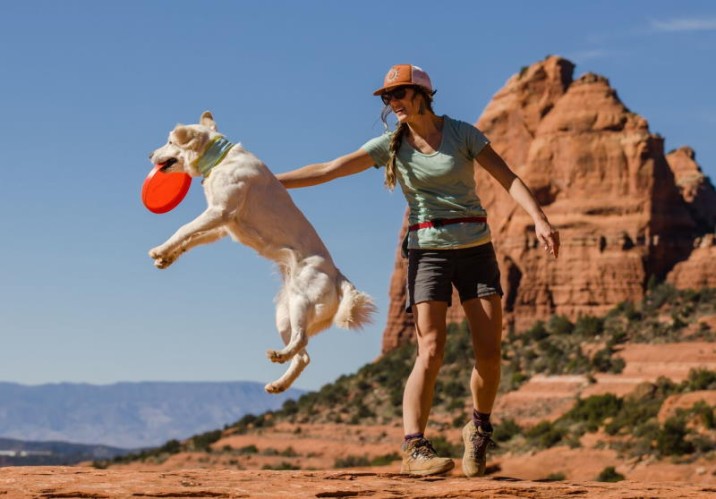 Frisbee / Dog Disc