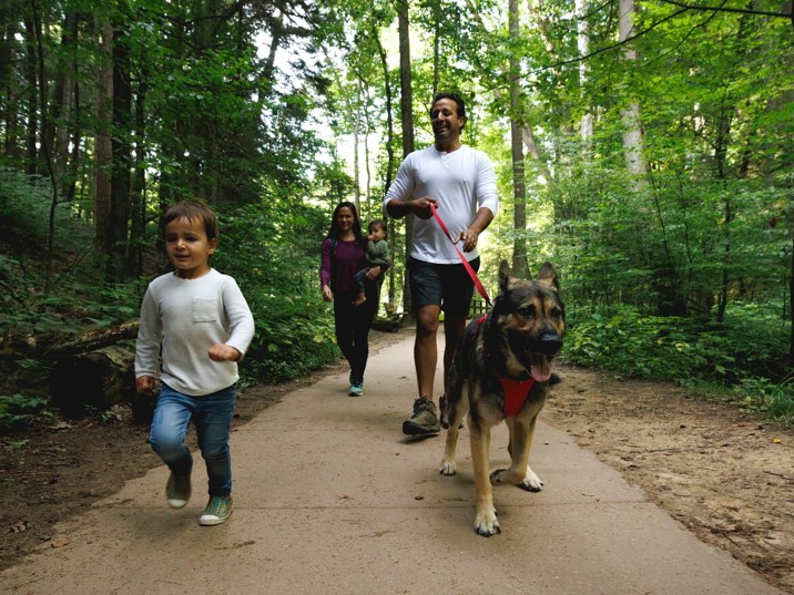 Gesundheit durch Hundehaltung