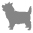 Cairn Terrier