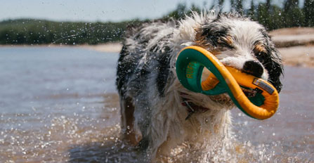 Wasserspielzeug