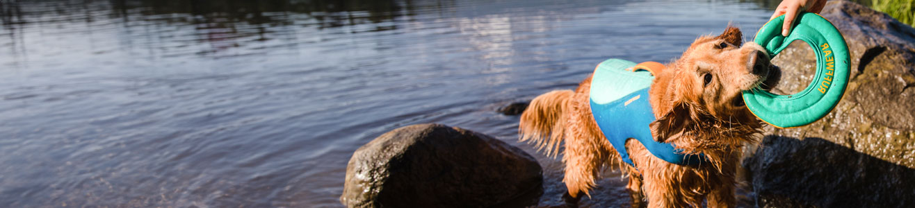 Hunde Schwimmwesten