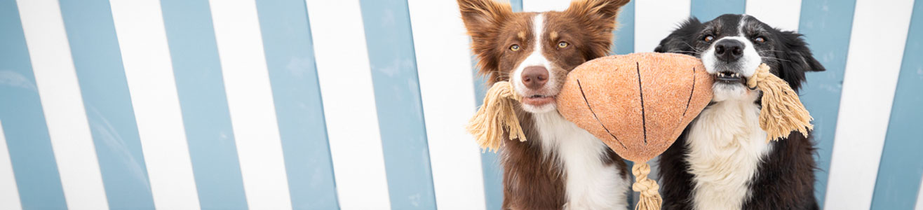 Hundespielzeug