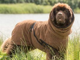 Dryup Cape Hundebademantel BIG braun