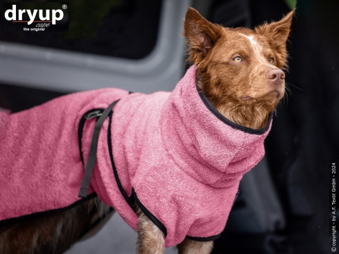 Dryup Cape Hundebademantel rose