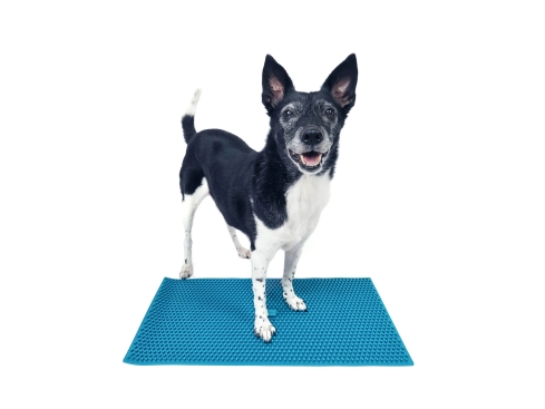 FitPAWS K9 FitMat Fitnessmatte für Hunde