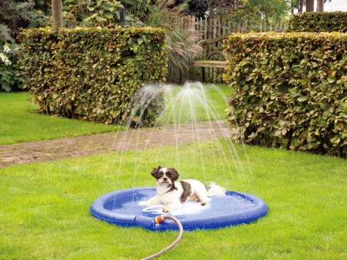 Sprinkle Mat Springbrunnen für Hunde