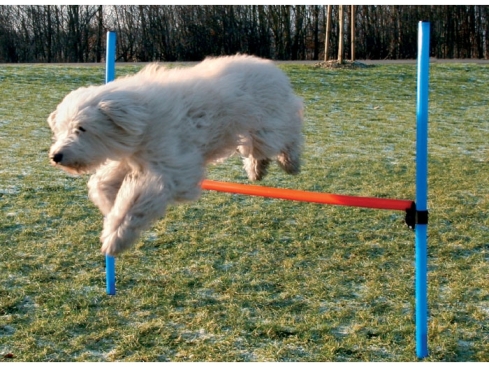 Agility Parcours Hürde, 115 x 3,3 cm