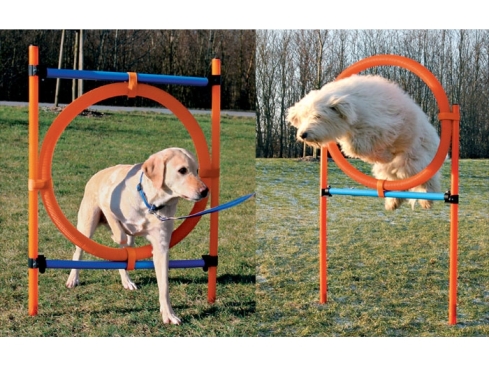 Agility Parcours Ring, 65 cm