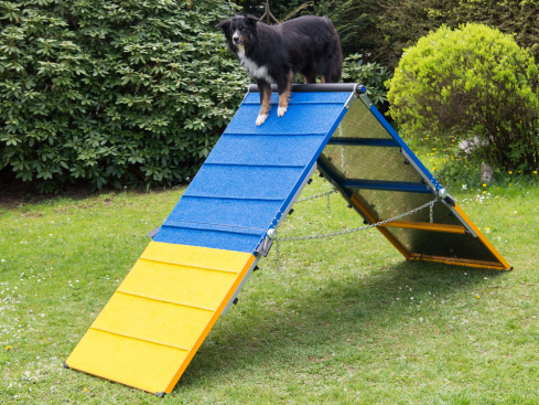 Hundesport Agility A-Wand