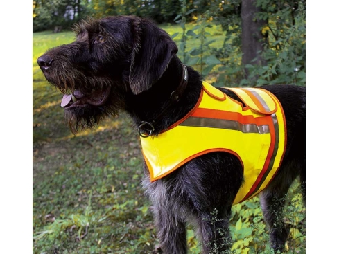 Reflektorweste für Hunde