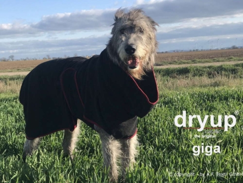 Dryup Cape Hundebademantel Giga schwarz