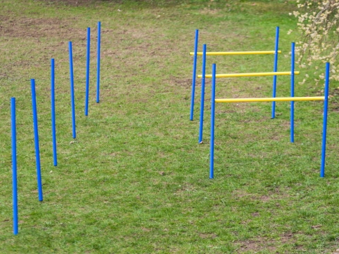 Dog Agility Trainings Set 2