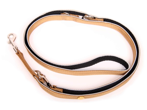 Style Snout Hundeleine Gold-Black-Edition