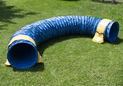 Hunde Profi Agility Tunnel FCI konform