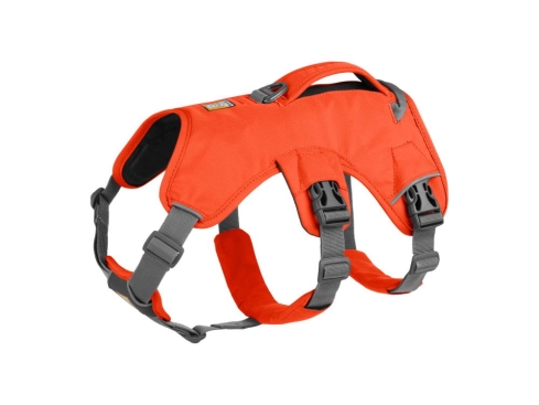 Ruffwear Web Master™ Hundegeschirr Blaze Orange