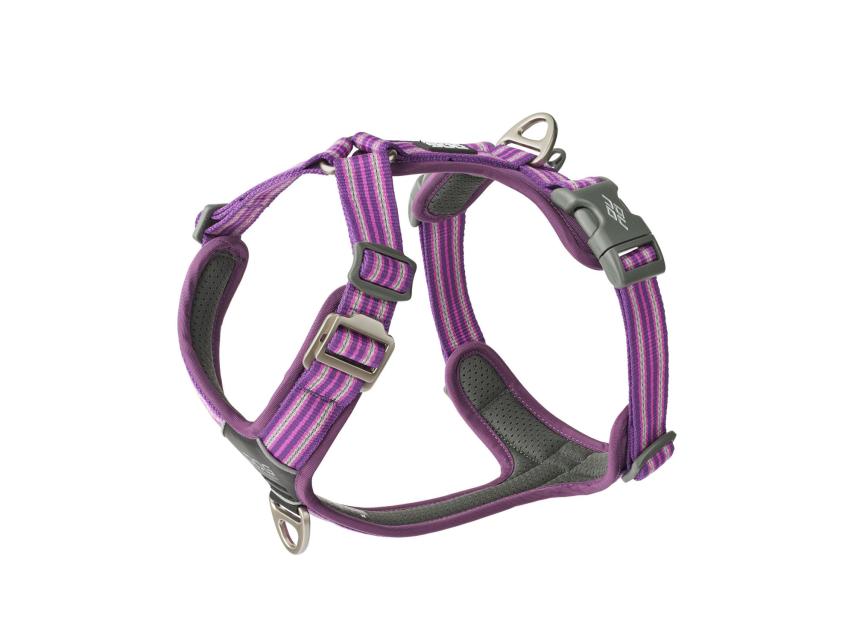 Dog Copenhagen Comfort Walk Air V3 Hundegeschirr Purple Passion 1