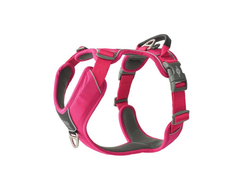 Dog Copenhagen Comfort Walk Pro V3 Hundegeschirr Wild Rose 1