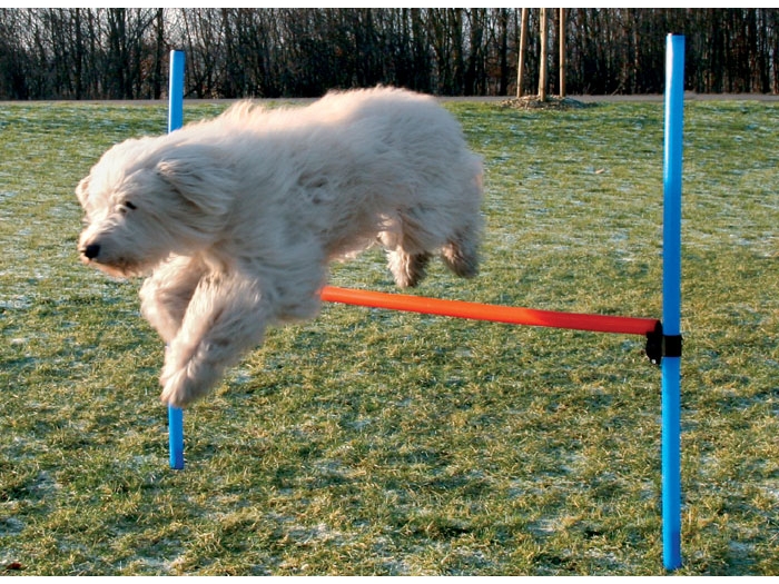 Agility Parcours Hürde, 115 x 3,3 cm 1