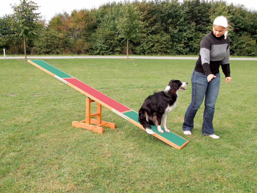 Dog Activity Fun Agility Wippe aus Kiefernholz 1