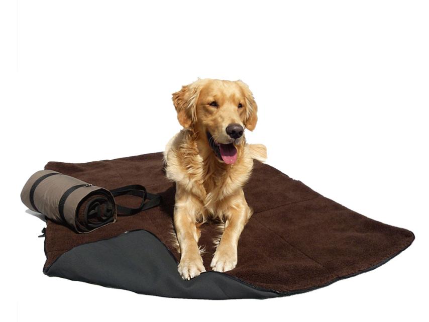 Warmup Blanket big Hundedecke, XL 1