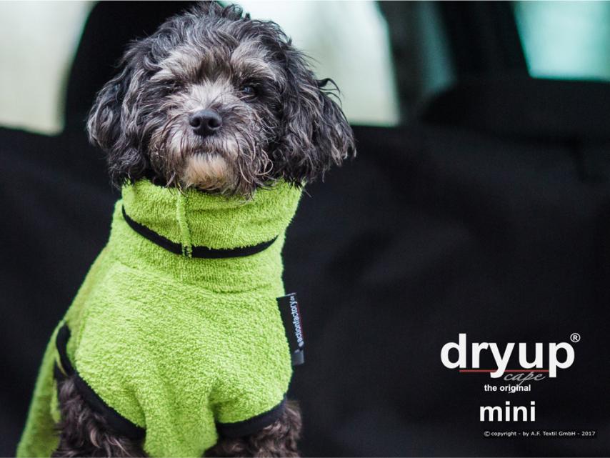 Dryup Cape Hundebademantel Mini kiwi 1