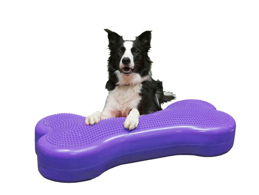 FitPAWS® Giant K9  FITbone™ 1