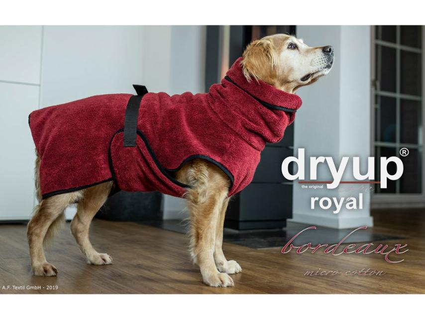 Dryup Cape Royal Hundebademantel micro cotton bordeaux 1