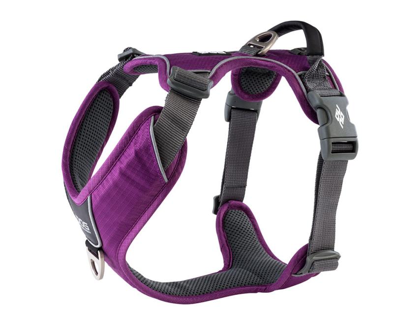 Comfort Walk Pro V2 Hundegeschirr Purple Passion 1