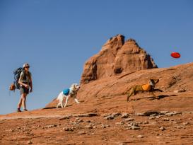 Ruffwear Approach™ Pack Hunderucksack Campfire Orange 10