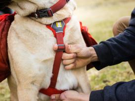 Ruffwear Palisades Pack Hunderucksack Red Sumac 10