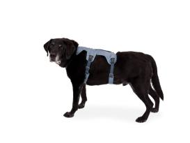 Ruffwear Web Master™ Hundegeschirr Slate Blue 10