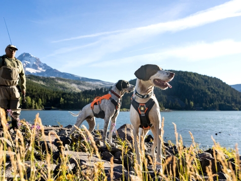 Ruffwear Brush Guard™ Brustpolster basalt gray