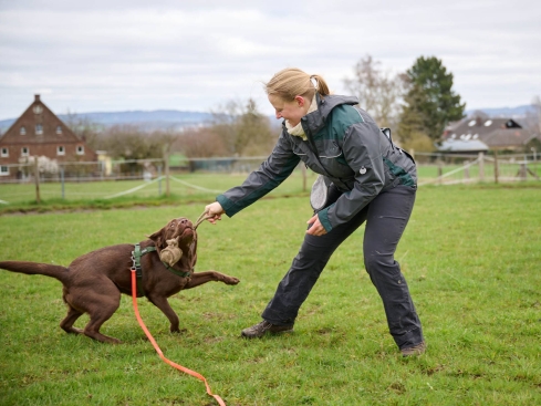 Owney Pro Dog Sport Hundesport Damenjacke grau