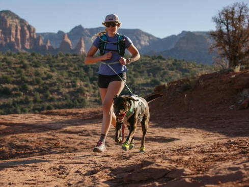 Ruffwear Flagline™ Hundeleine Sage Green