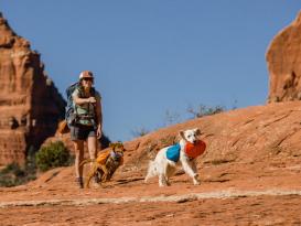 Ruffwear Approach™ Pack Hunderucksack Campfire Orange 11