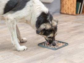 Lick’n'Snack Schleckmatte für Hunde 2