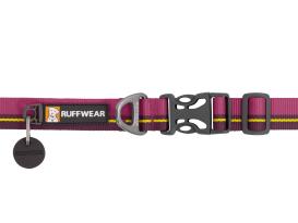 Ruffwear Flat Out™ Hundehalsband Wildflower Horizon 2