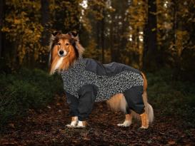 Rukka Pets Flash Overall für Hunde 2