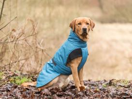 Winter Hundemantel Riom blau 2